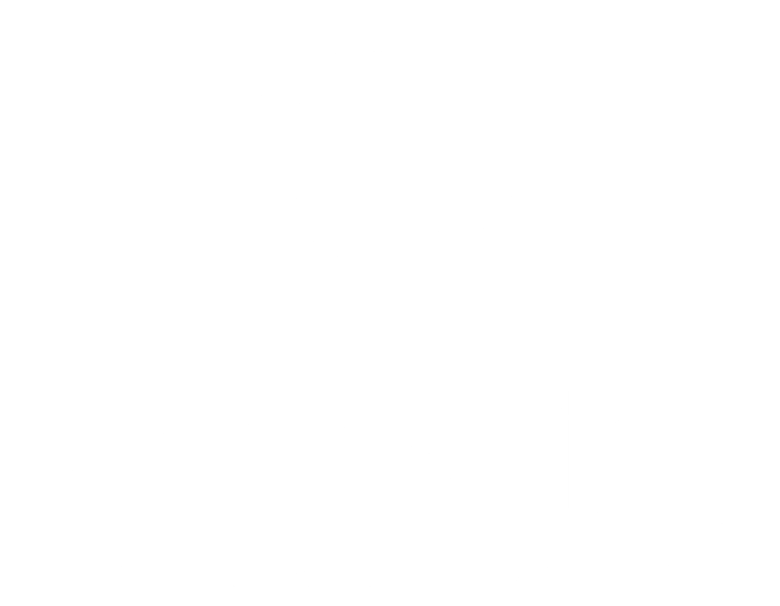 venaltio logo